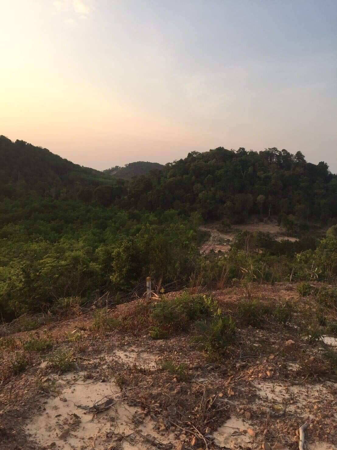 ขายที่ดินซีวิว ใกล้ทะเล เหมาะแก่การทำรีสอร์ท อำเภอเกาะยาว จังหวัดพังงา