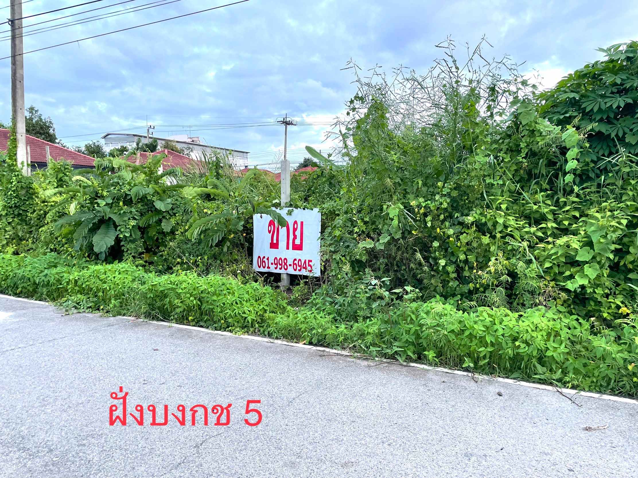ขายที่ดิน 1 ไร่ ทำเลดี คลองหลวง เหมาะทำธุรกิจ คลองหลวง จ.ปทุมธานี