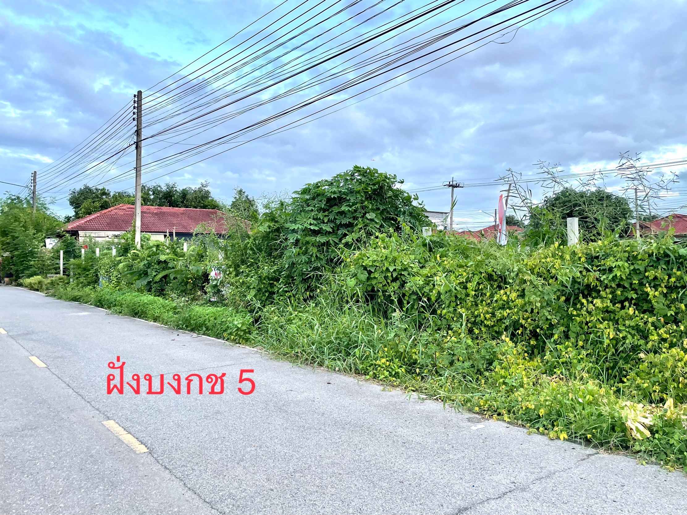 ขายที่ดิน 1 ไร่ ทำเลดี คลองหลวง เหมาะทำธุรกิจ คลองหลวง จ.ปทุมธานี