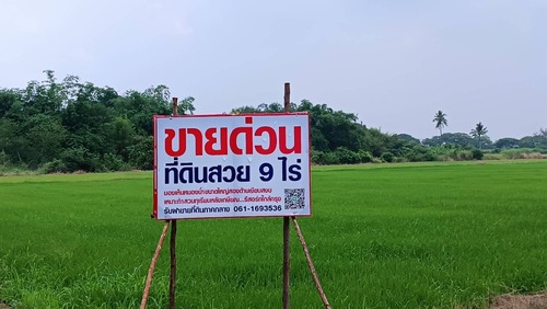 ขาย ที่ดินด่วน วิวหนองน้ำสามด้าน 9 ไร่ เมือง นครปฐม
