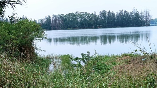 ขาย ที่ดินด่วน วิวหนองน้ำสามด้าน 9 ไร่ เมือง นครปฐม