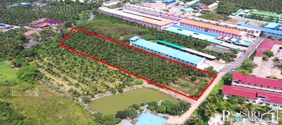 ขายที่สวย 4ไร่เศษ ทำเลทอง หลังนิคมสุทรสาคร ลงตัวทั้งทำโรงงานและกิจการหอพัก ราคาพิเศษ - KK3983S