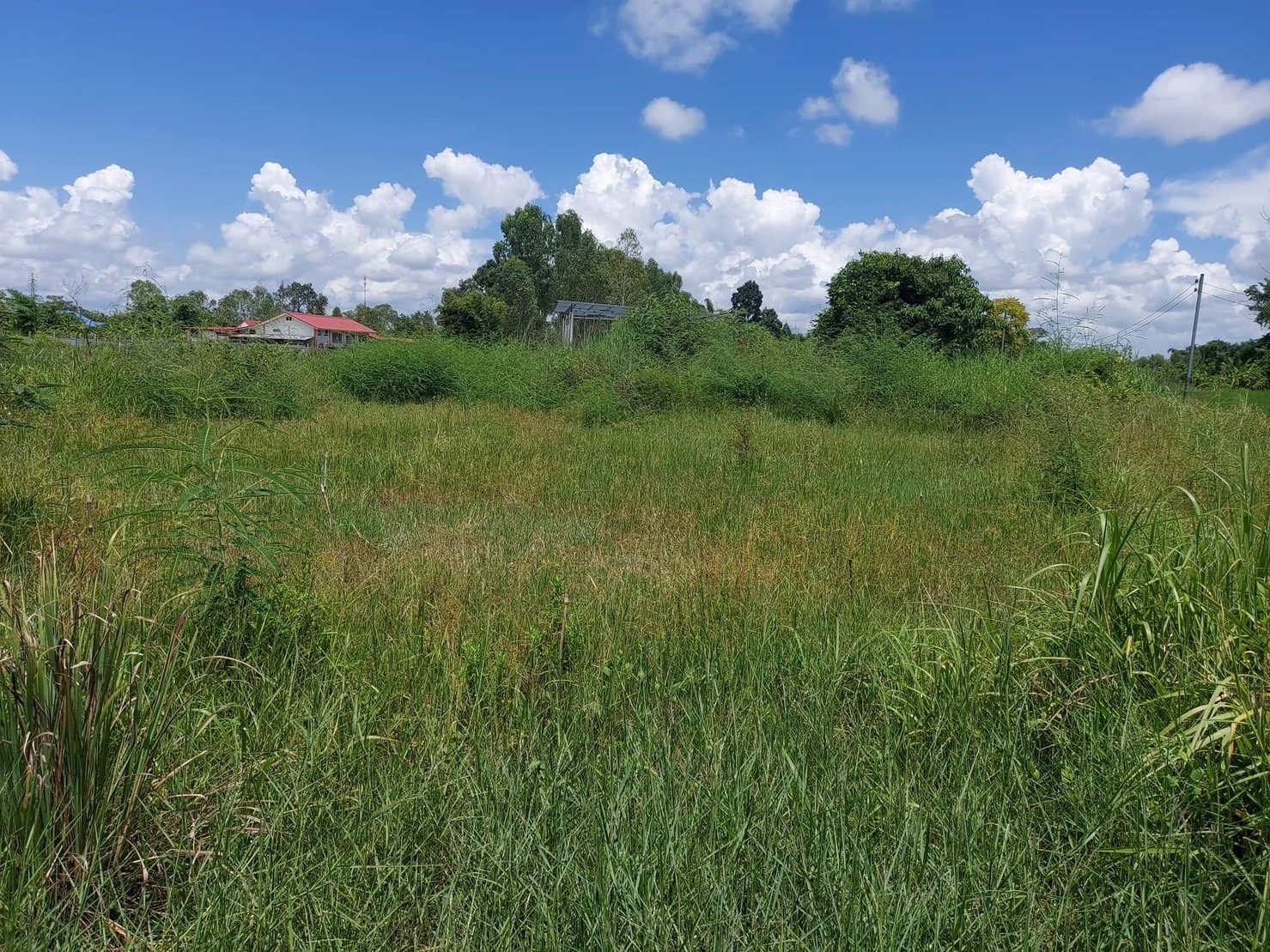 ขายที่ดิน 0-2-0 THB1,700,000 หนองนาคำ เมือง อุดรธานี