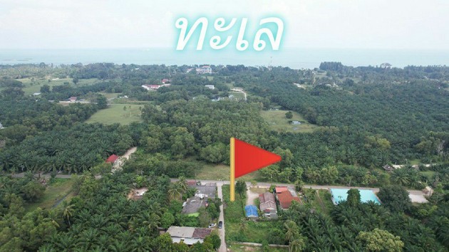 ขายที่ดินซอยพังพร้าว เจ้าของขายเอง อำเภอขนอม จังหวัดนครศรีธรรมราช