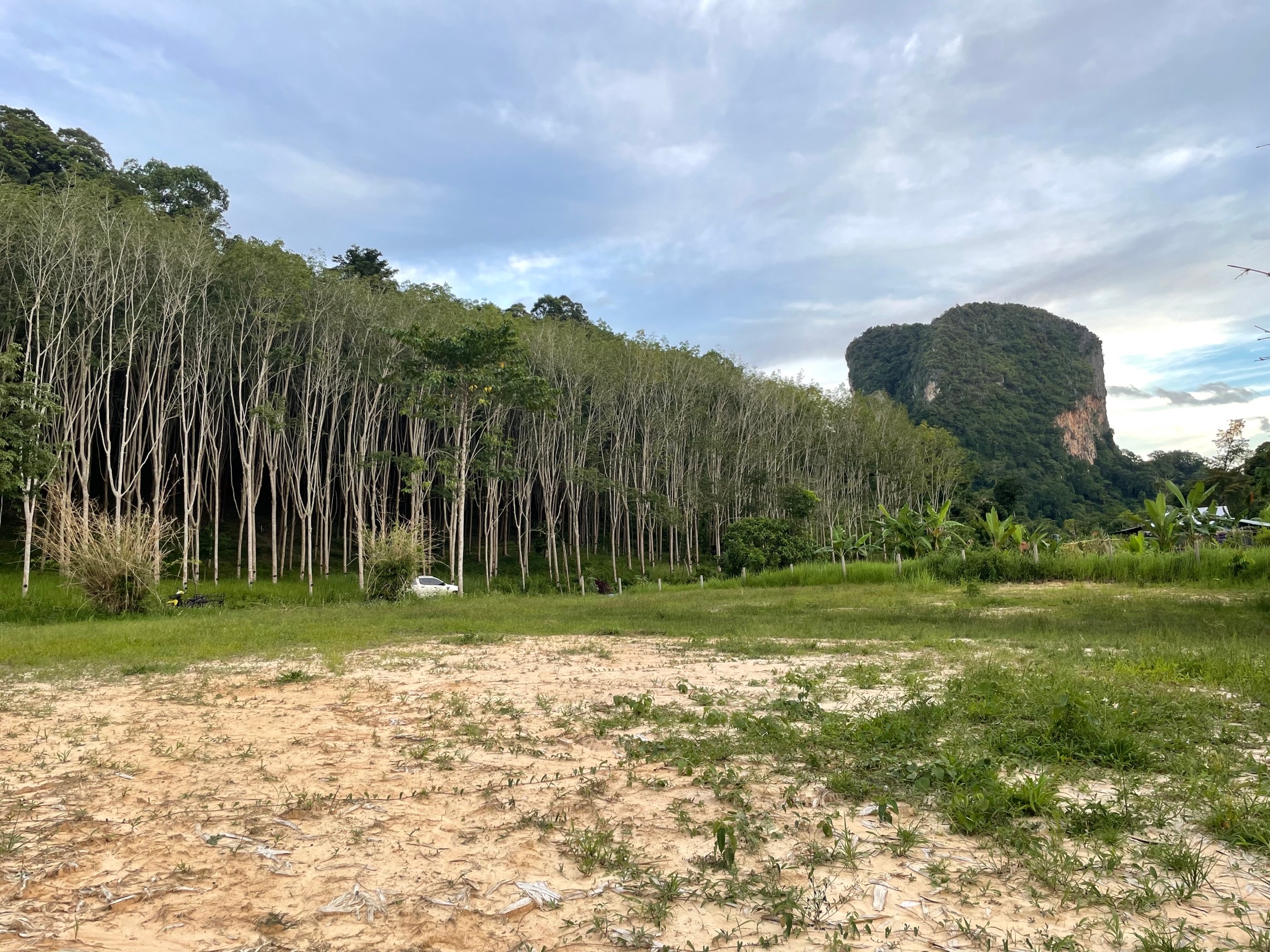 ขายที่ดินย่านธุรกิจกระบี่ ใกล้หาดทะเลอันดามัน