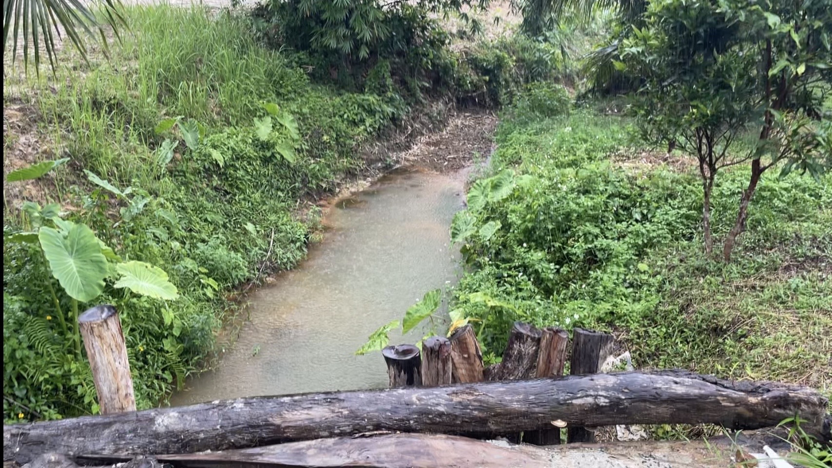 ขายที่ดินย่านธุรกิจกระบี่ ใกล้หาดทะเลอันดามัน