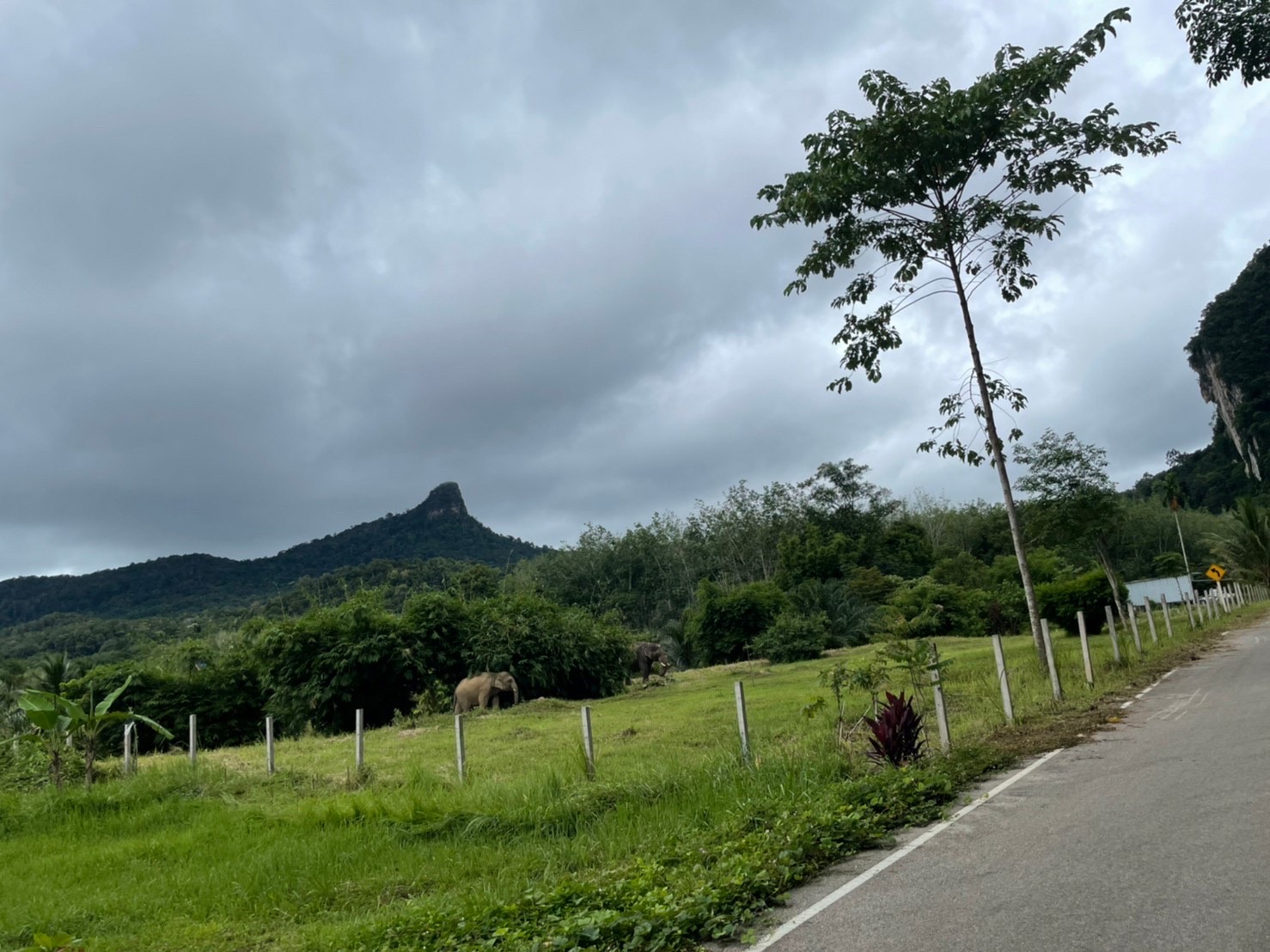 ขายที่ดินย่านธุรกิจกระบี่ ใกล้หาดทะเลอันดามัน