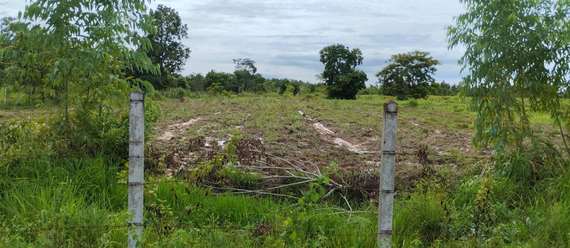 ขายที่ดิน 34-3-60 THB5,235,000 เขือน้ำ บ้านผือ อุดรธานี