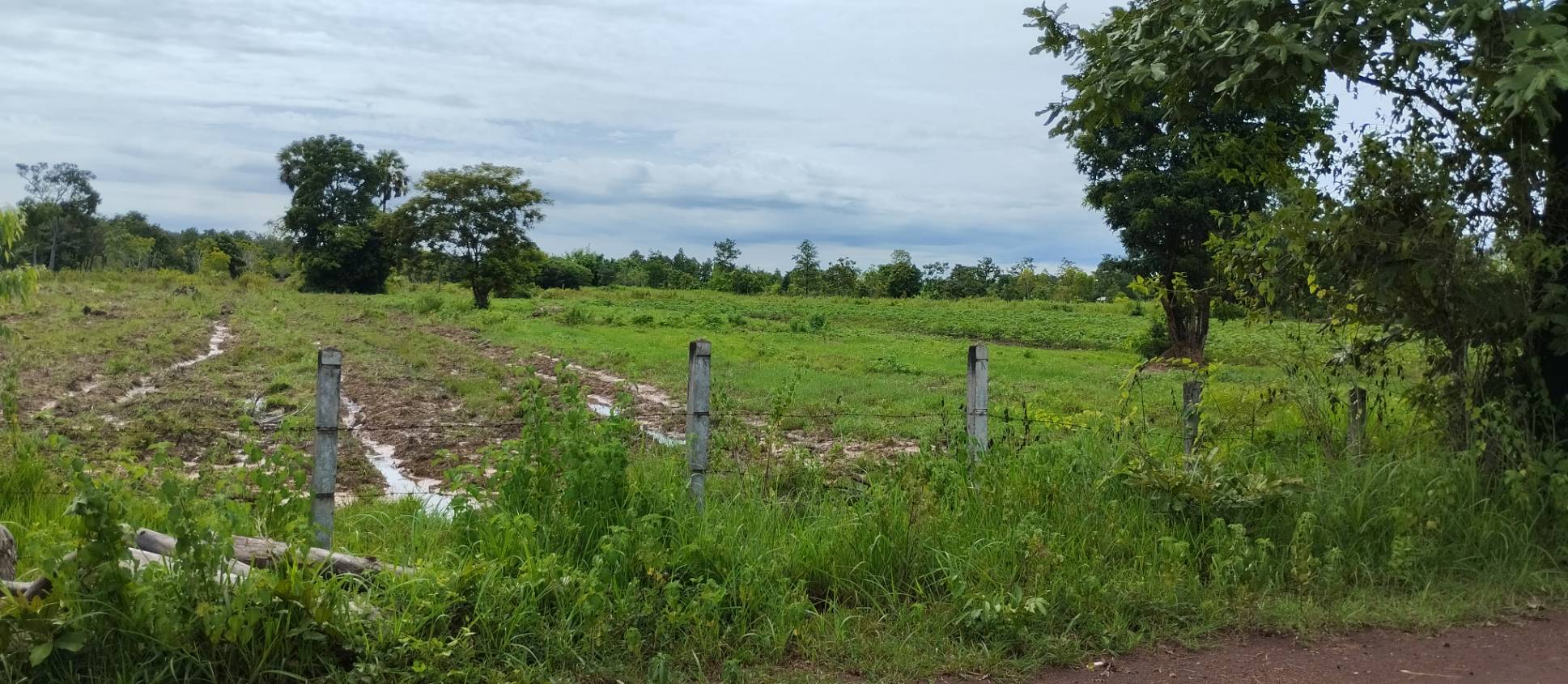 ขายที่ดิน 34-3-60 THB5,235,000 เขือน้ำ บ้านผือ อุดรธานี