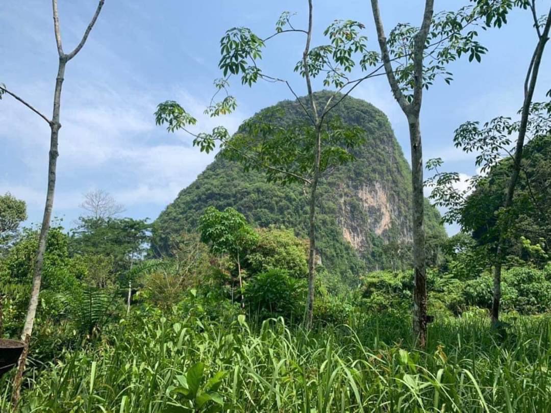ขายที่ดินติดลำคลอง พายคายัค ชื่อดังย่านหาดอ่าวนาง