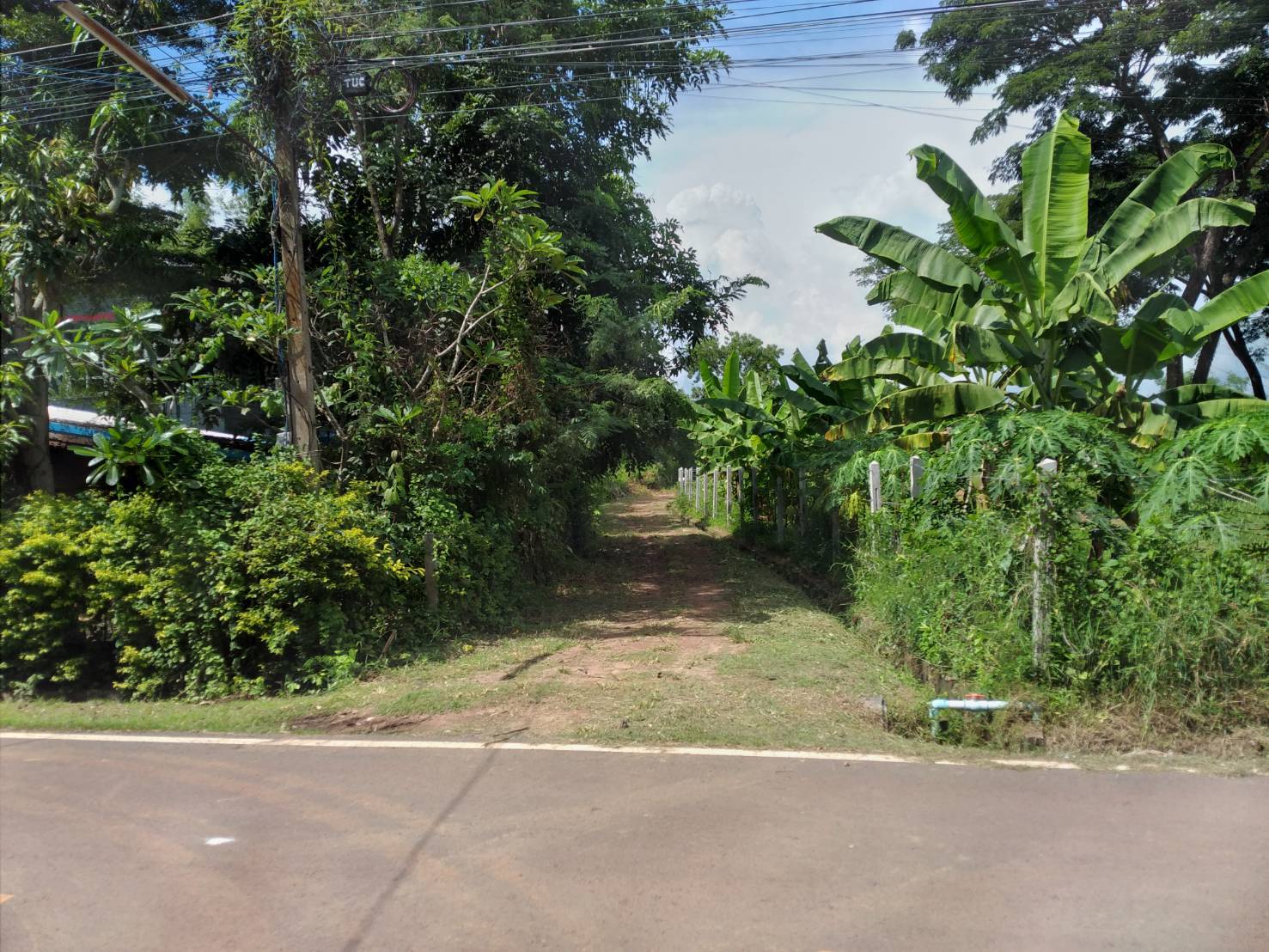 ขายที่ดิน 11-1-80 THB4,500,000 ผาสุก กุมภวาปี อุดรธานี