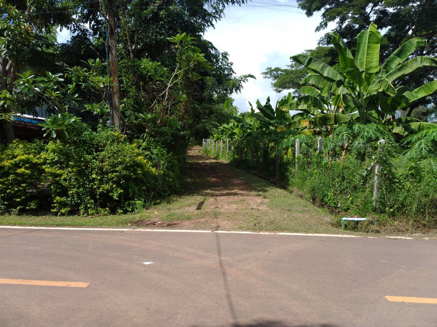 ขายที่ดิน 11-1-80 THB4,500,000 ผาสุก กุมภวาปี อุดรธานี