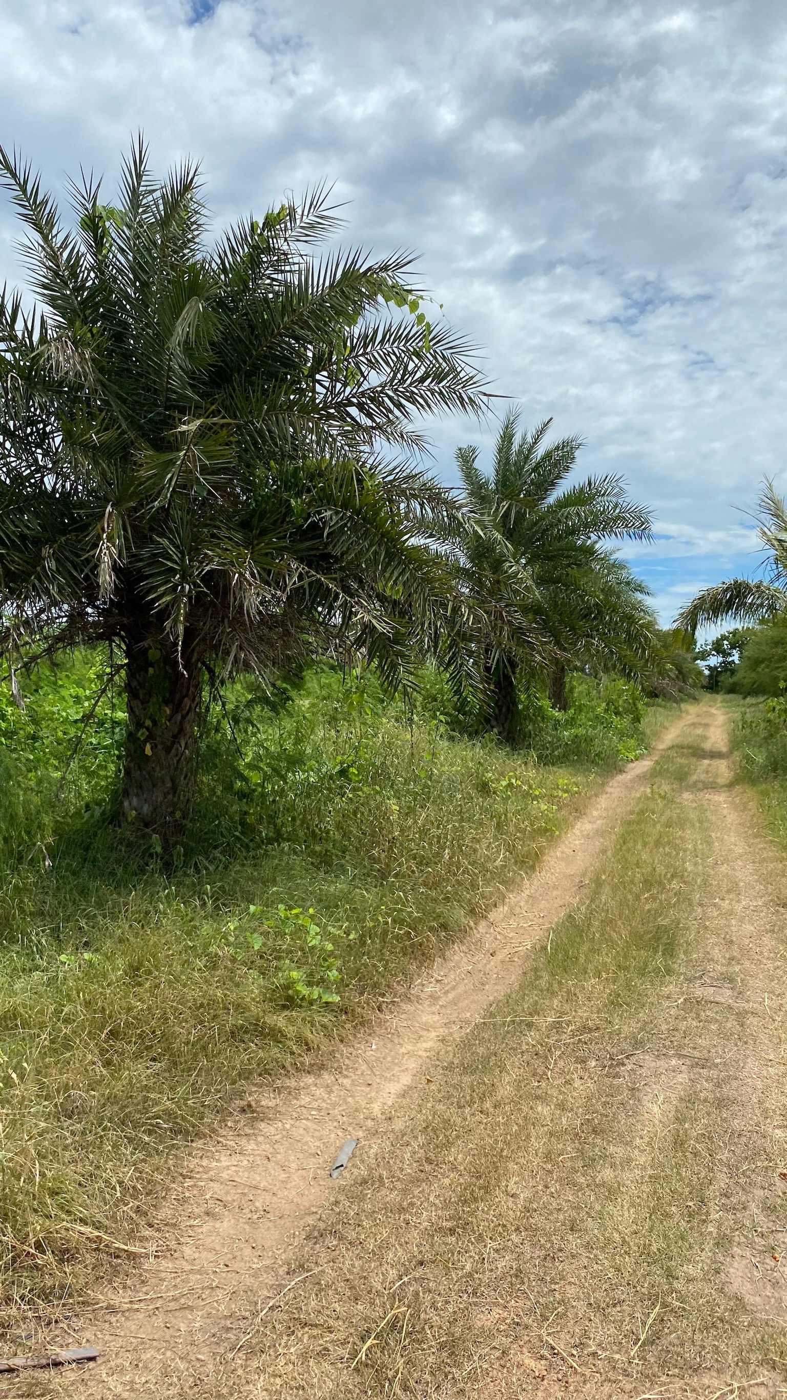 ขายด่วนที่ดิน ถมแล้วติดถนนไฟฟ้าปะปา พร้อม ตำบล เขาขลุง อำเภอบ้านโป่ง ราชบุรี 