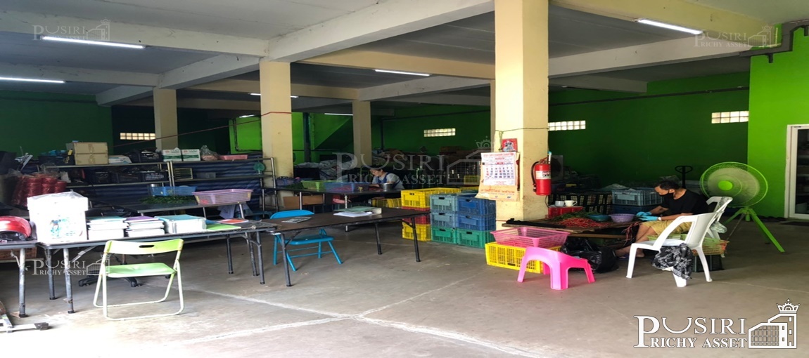 โรงงานเครื่องปรุงบรรจุซอง 328 วา สร้างรายได้ทันที พร้อมทุกอย่าง เครื่องจักรและฐานลูกค้า เลียบคลองแคราย 