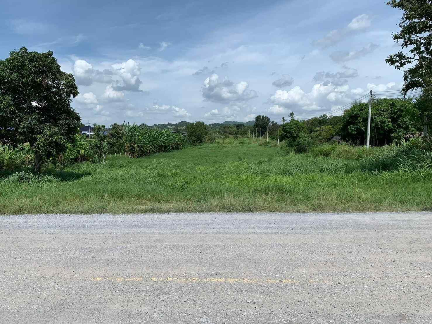 ขายด่วนที่ดิน ทำเลดี วิวเขา ใกล้มอเตอร์เวย์ อำเภอปากช่อง จังหวัดนครราชสีมา