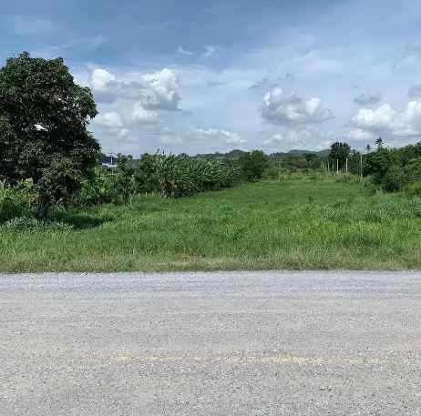 ขายด่วนที่ดิน ทำเลดี วิวเขา ใกล้มอเตอร์เวย์ อำเภอปากช่อง จังหวัดนครราชสีมา