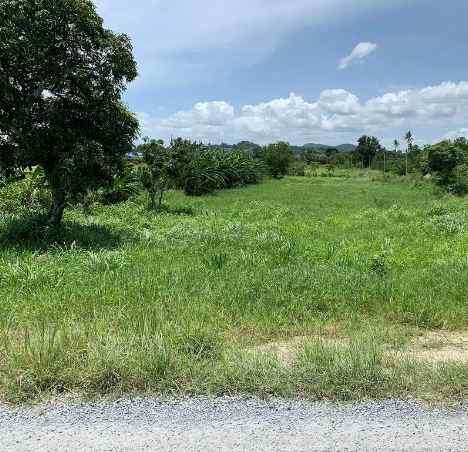 ขายด่วนที่ดิน ทำเลดี วิวเขา ใกล้มอเตอร์เวย์ อำเภอปากช่อง จังหวัดนครราชสีมา