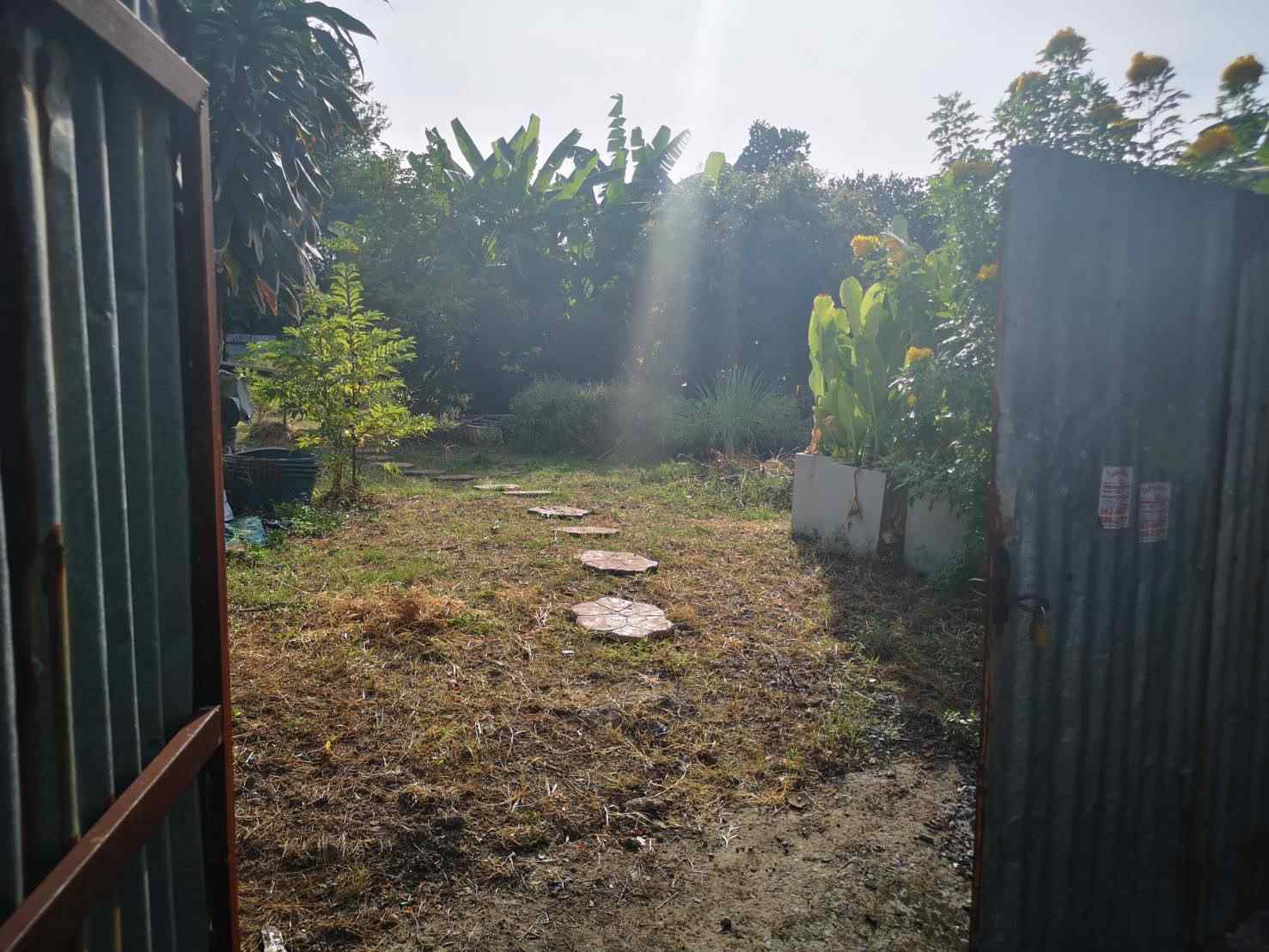 ขายด่วน ที่ดินเหมาะสำหรับสร้างบ้านในเมือง ทำเลดี ใกล้แหล่งชุมชน