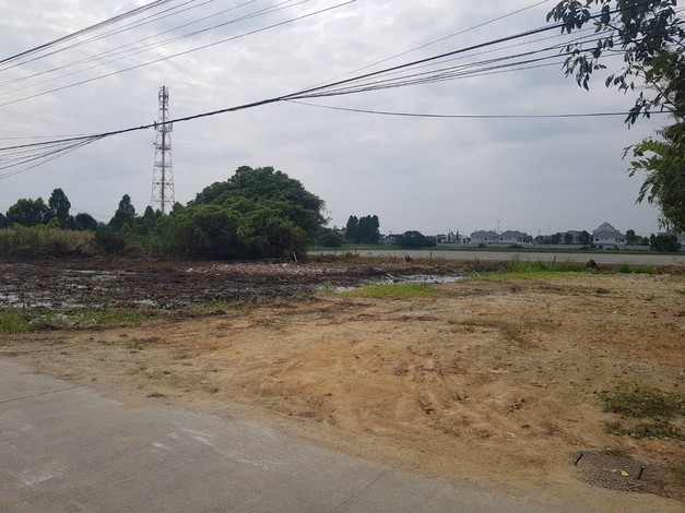 ขายที่ดินถูก ตารางวา 20,000ในซอยบางปู 111 (เพลินจิตร์) ทำเลดี รองรับถนน 8 เลน สมุทรปราการ เจ้าของขายเอง