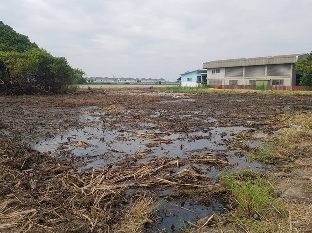 ขายที่ดินถูก ตารางวา 20,000ในซอยบางปู 111 (เพลินจิตร์) ทำเลดี รองรับถนน 8 เลน สมุทรปราการ เจ้าของขายเอง