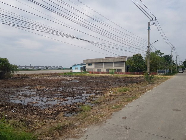 ขายที่ดินถูก ตารางวา 20,000ในซอยบางปู 111 (เพลินจิตร์) ทำเลดี รองรับถนน 8 เลน สมุทรปราการ เจ้าของขายเอง