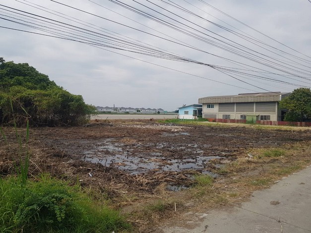 ขายที่ดินถูก ตารางวา 20,000ในซอยบางปู 111 (เพลินจิตร์) ทำเลดี รองรับถนน 8 เลน สมุทรปราการ เจ้าของขายเอง