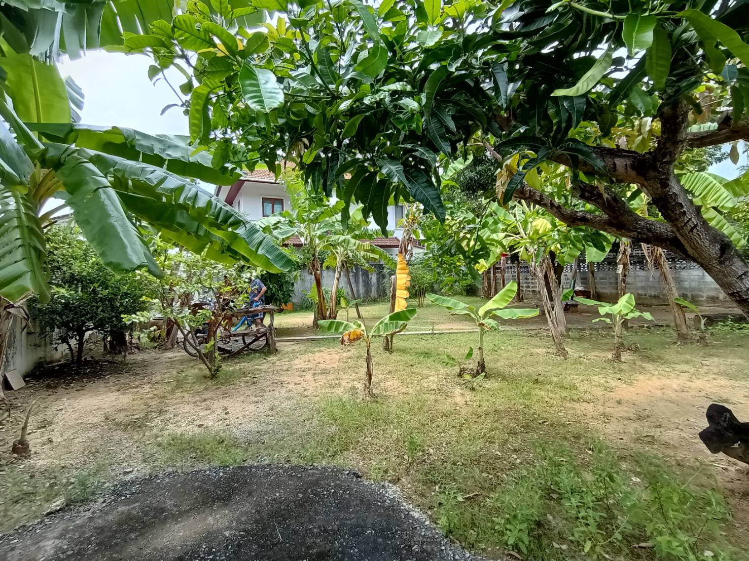 ขายที่ดิน ในซอยเพชรเกษม46-48 ซอยร่วม ตรงข้ามโครงการเมทโทร,กรุงเทพ