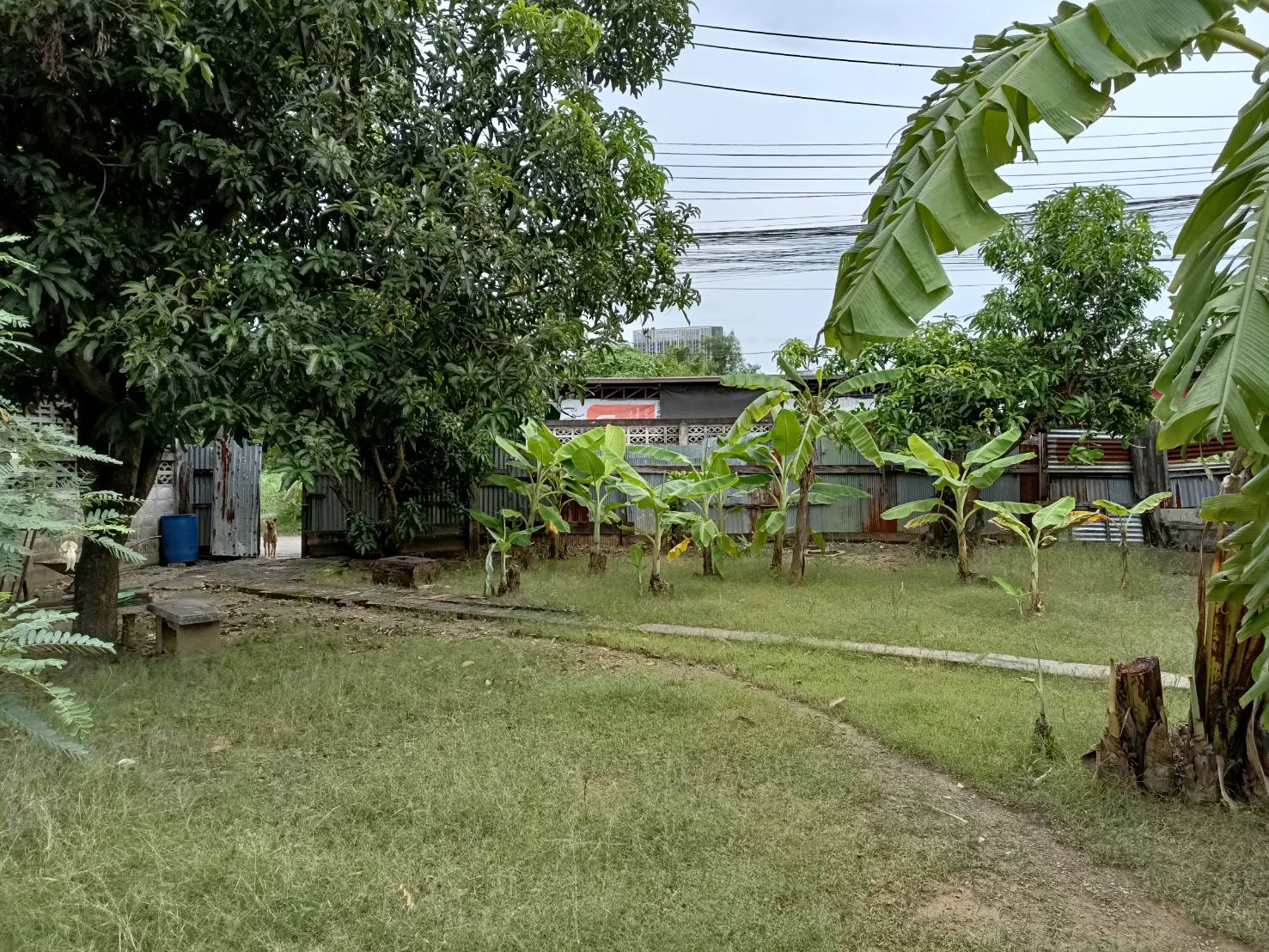 ขายที่ดิน ในซอยเพชรเกษม46-48 ซอยร่วม ตรงข้ามโครงการเมทโทร,กรุงเทพ