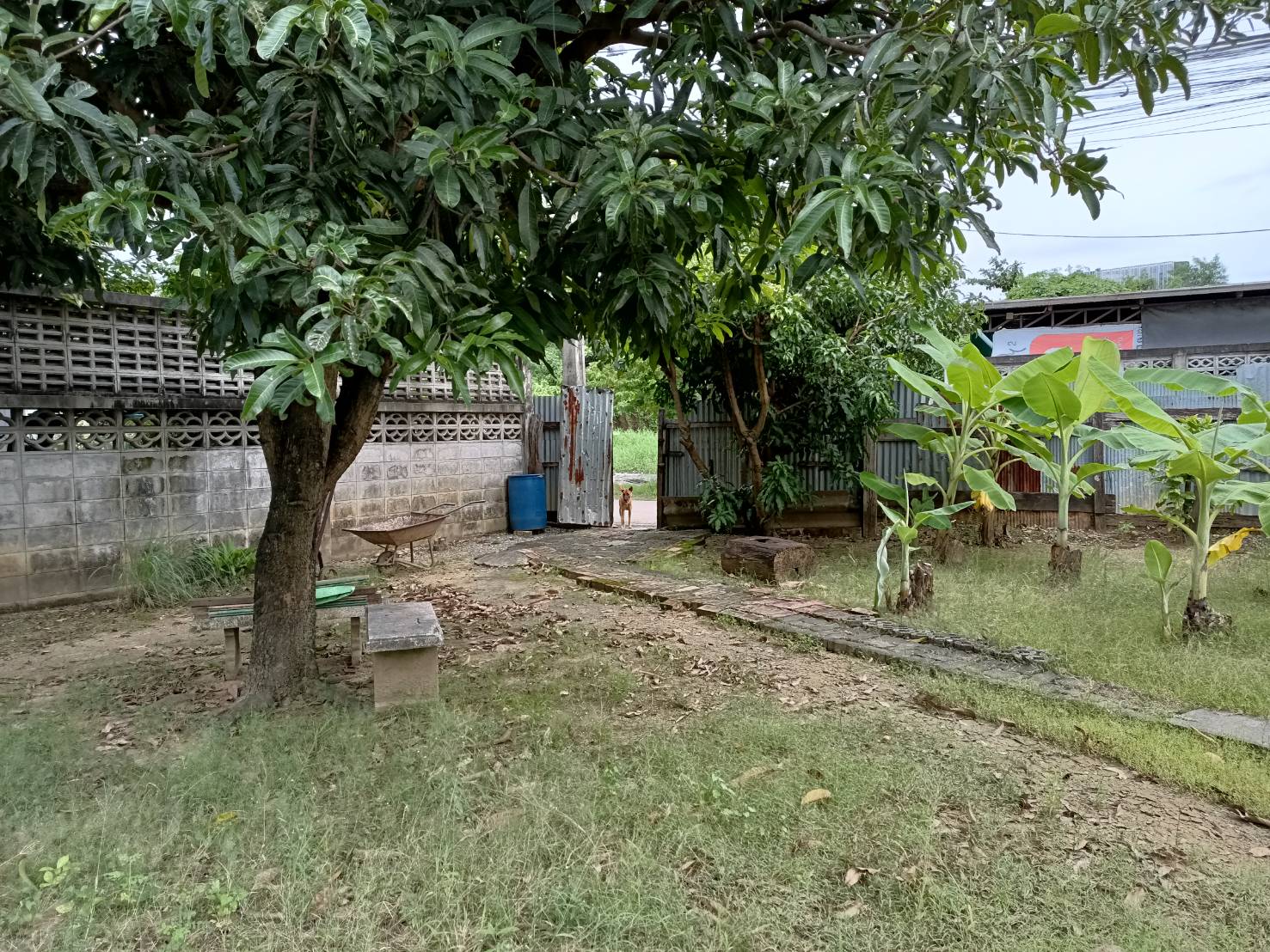 ขายที่ดิน ในซอยเพชรเกษม46-48 ซอยร่วม ตรงข้ามโครงการเมทโทร,กรุงเทพ