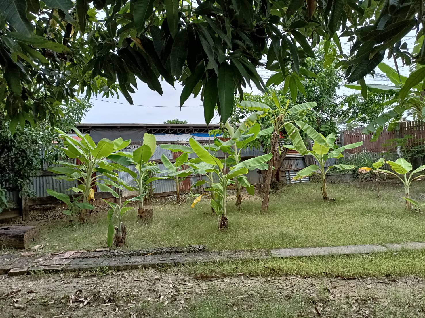 ขายที่ดิน ในซอยเพชรเกษม46-48 ซอยร่วม ตรงข้ามโครงการเมทโทร,กรุงเทพ