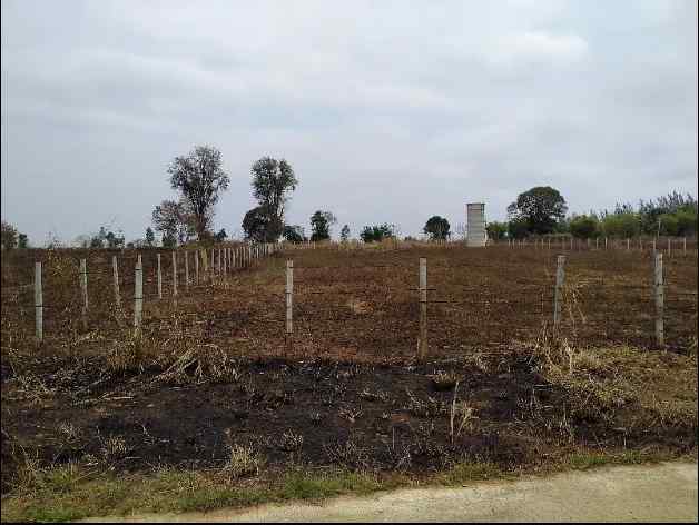 ขายที่ดินโฉนด 2 ไร่ 3 งาน 94 ตรว. ใกล้มหาวิทยาลัยเทคโนโลยีสุรนารี จ.นครราชสีมา