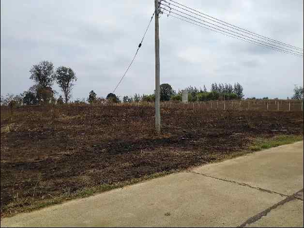 ขายที่ดินโฉนด 2 ไร่ 3 งาน 94 ตรว. ใกล้มหาวิทยาลัยเทคโนโลยีสุรนารี จ.นครราชสีมา