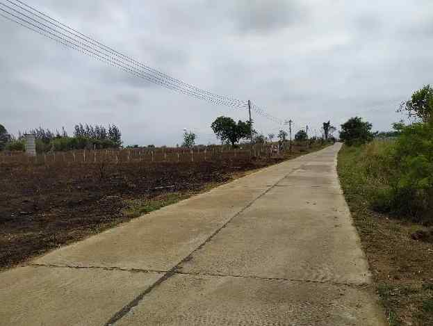 ขายที่ดินโฉนด 2 ไร่ 3 งาน 94 ตรว. ใกล้มหาวิทยาลัยเทคโนโลยีสุรนารี จ.นครราชสีมา