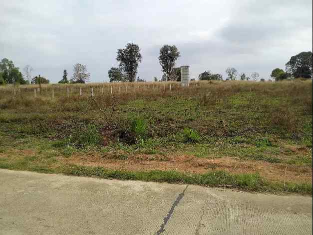 ขายที่ดินโฉนด 2 ไร่ 3 งาน 94 ตรว. ใกล้มหาวิทยาลัยเทคโนโลยีสุรนารี จ.นครราชสีมา