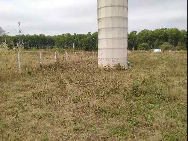 ขายที่ดินโฉนด 2 ไร่ 3 งาน 94 ตรว. ใกล้มหาวิทยาลัยเทคโนโลยีสุรนารี จ.นครราชสีมา