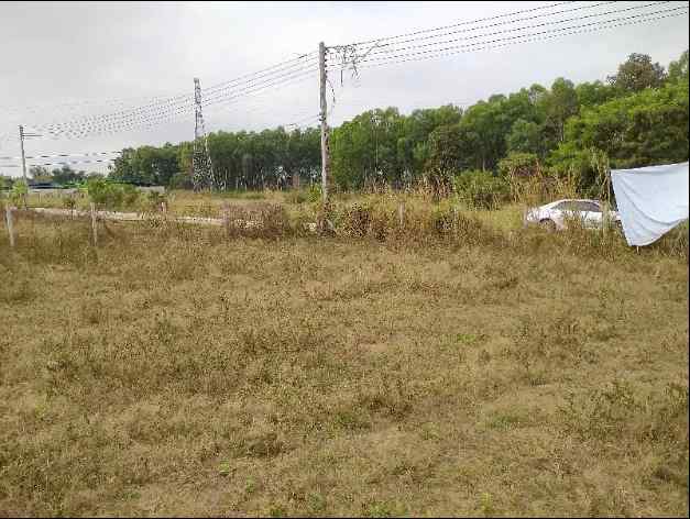 ขายที่ดินโฉนด 2 ไร่ 3 งาน 94 ตรว. ใกล้มหาวิทยาลัยเทคโนโลยีสุรนารี จ.นครราชสีมา