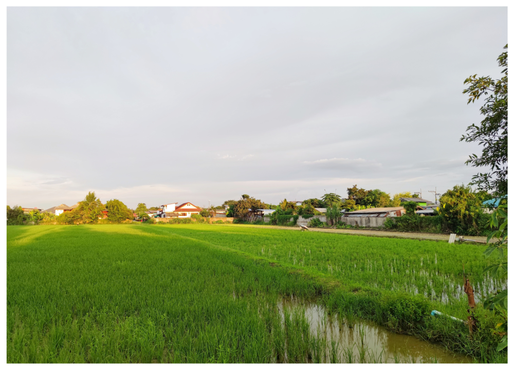 ขายที่ดินเหมาะทำหมู่บ้านจัดสรร 13-2-50 ไร่ มีโฉนด ติดถนน 2 ด้าน อ.เมือง จ.เชียงราย