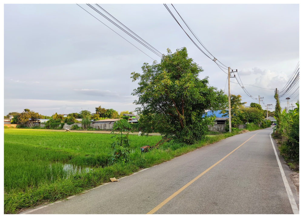 ขายที่ดินเหมาะทำหมู่บ้านจัดสรร 13-2-50 ไร่ มีโฉนด ติดถนน 2 ด้าน อ.เมือง จ.เชียงราย