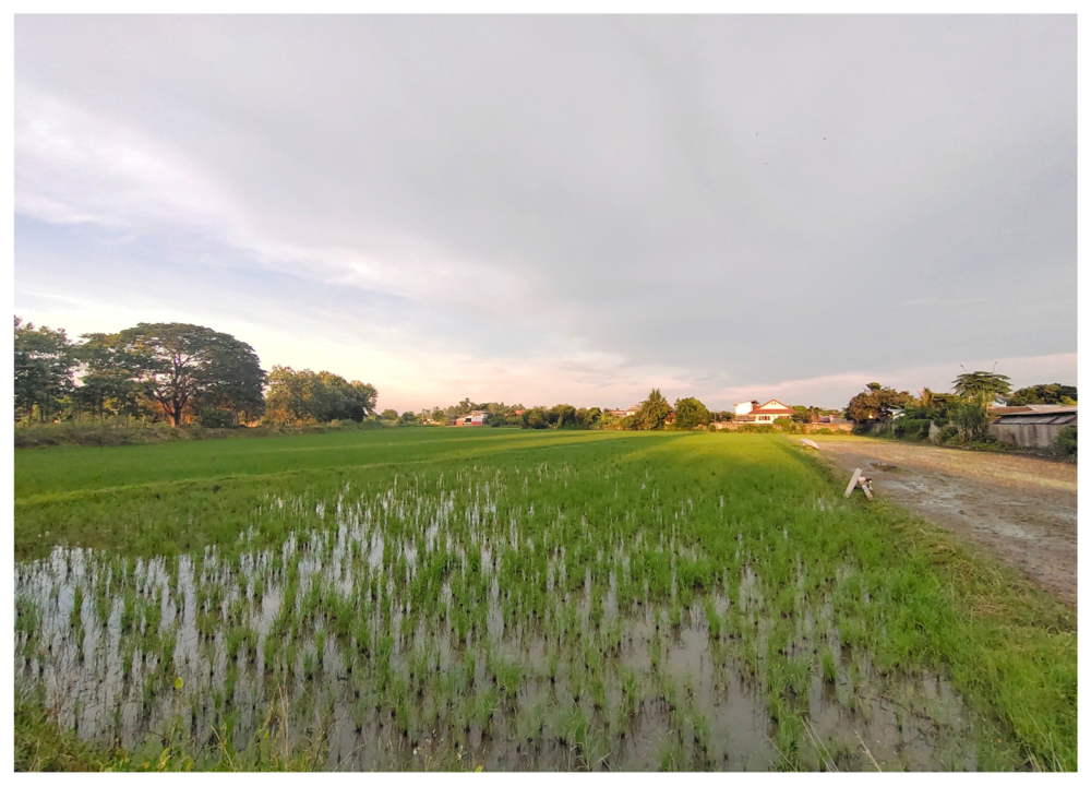 ขายที่ดินเหมาะทำหมู่บ้านจัดสรร 13-2-50 ไร่ มีโฉนด ติดถนน 2 ด้าน อ.เมือง จ.เชียงราย