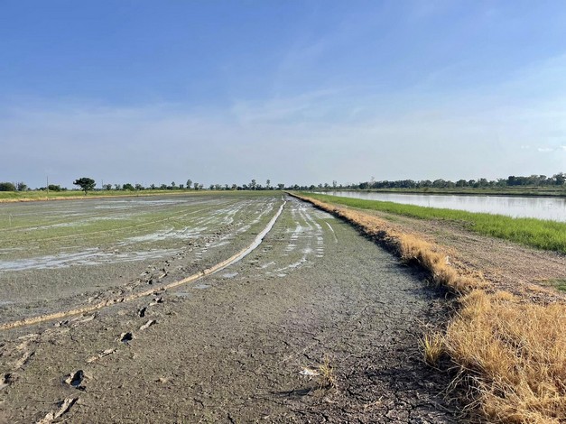 ขายที่ดินสวย บ้านสวนคลอง 23 องครักษ์ นครนายก ทำเลดีมาก บรรยากาศเยี่ยม 