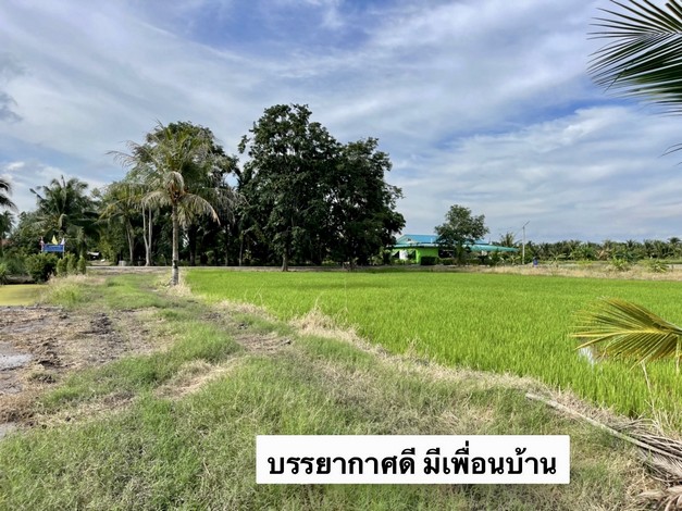 ขายที่ดินสวย บ้านสวนคลอง 23 องครักษ์ นครนายก ทำเลดีมาก บรรยากาศเยี่ยม 