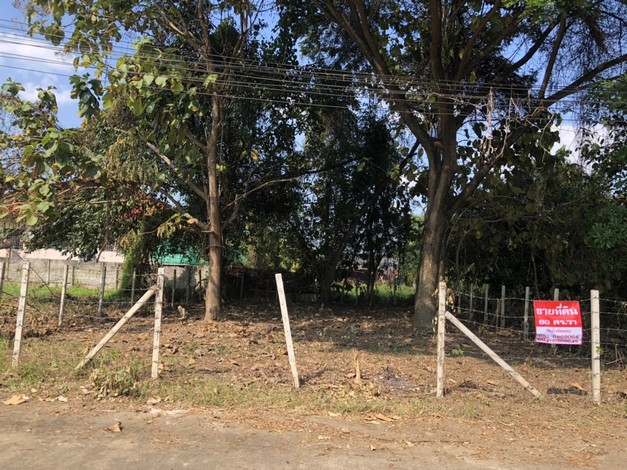 ขายด่วน ที่ดิน 60 ตารางวา อำเภอสันป่าตอง เชียงใหม่  ( เจ้าของขายเอง )