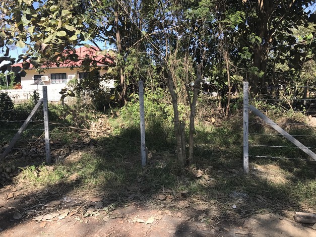 ขายด่วน ที่ดิน 60 ตารางวา อำเภอสันป่าตอง เชียงใหม่  ( เจ้าของขายเอง )