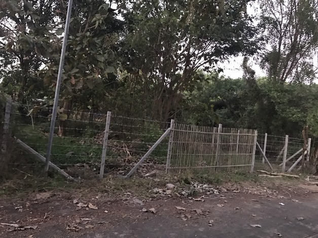 ขายด่วน ที่ดิน 60 ตารางวา อำเภอสันป่าตอง เชียงใหม่  ( เจ้าของขายเอง )