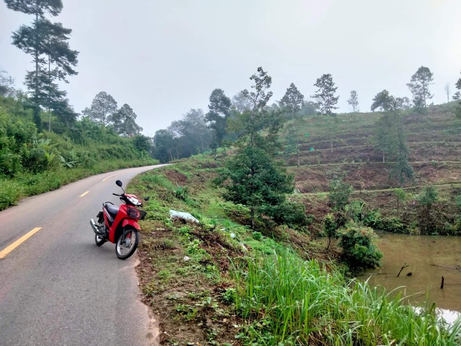 ขายที่ดินสวนทุเรียนติดถนน 9ไร่ อายุ2ปี 200กว่าต้น อ.เบตง จ.ยะลา