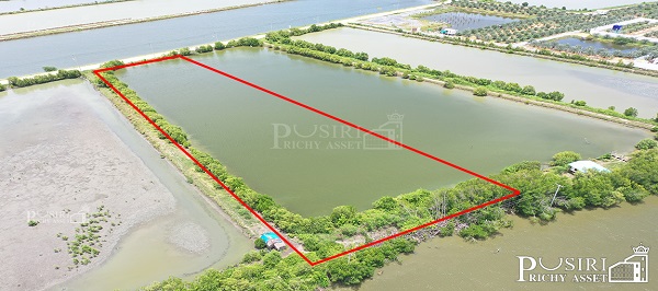 ขายที่สวยไร่ละ 2.6 ล้าน สร้างโรงงานได้ใกล้กรุงเทพ เกือบ 6 ไร่ ขอใบ รง.4 ได้ ใช้เทรลเลอร์เข้า-ออกสะดวก ด้วยเส้นบางขุนเทียน - KK5156S