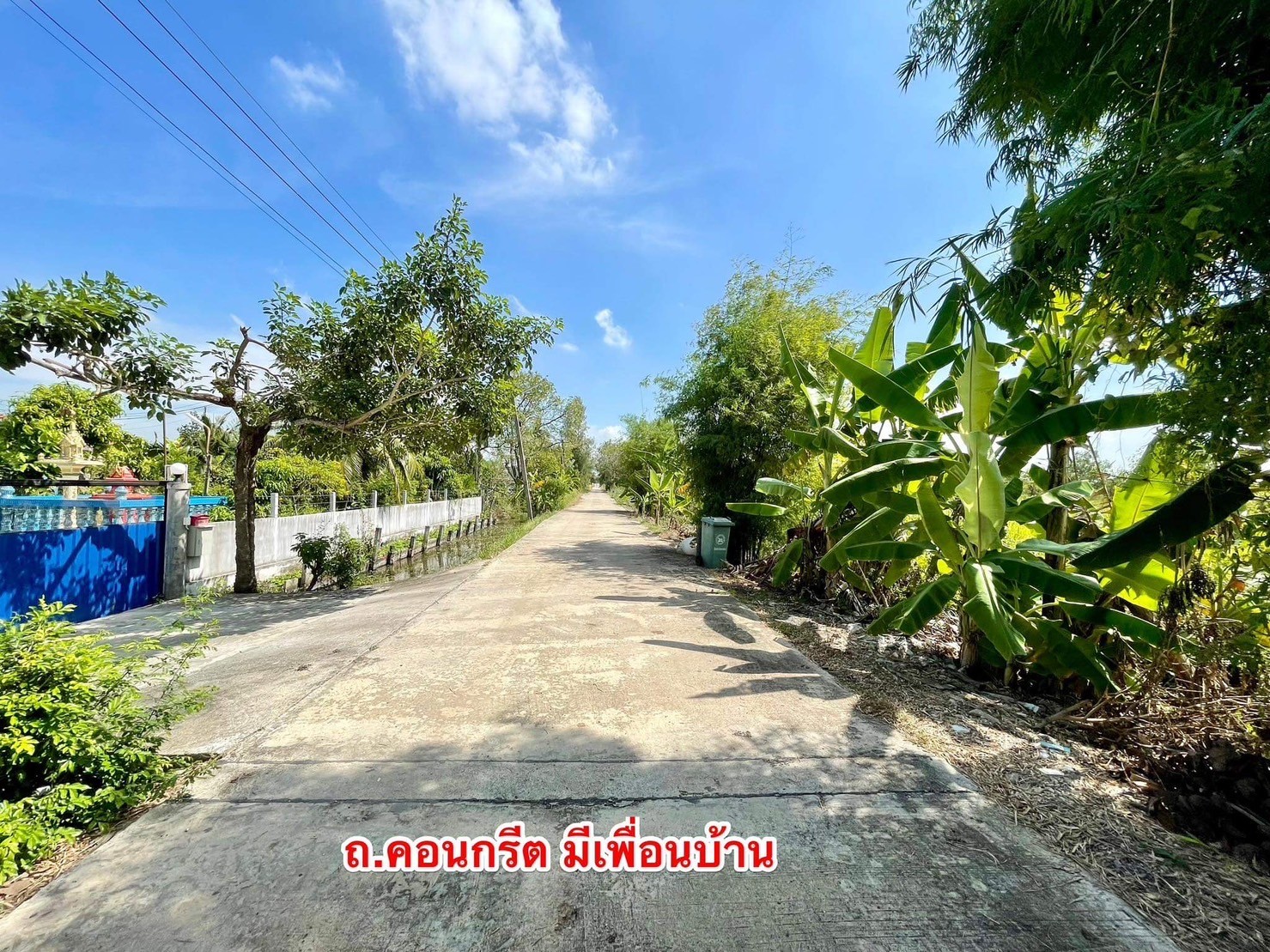 ขายที่ดินคลอง10 เหมาะทำบ้านสวน ติดถนนคอนกรีต ใกล้แหล่งชุมชน ปทุมธานี