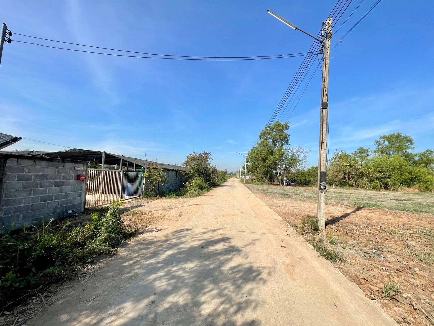 ขายที่ดินคลอง10 เหมาะทำบ้านสวน ติดถนนคอนกรีต ใกล้แหล่งชุมชน ปทุมธานี