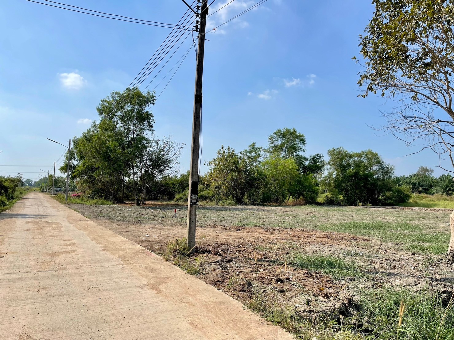 ขายที่ดินคลอง10 เหมาะทำบ้านสวน ติดถนนคอนกรีต ใกล้แหล่งชุมชน ปทุมธานี