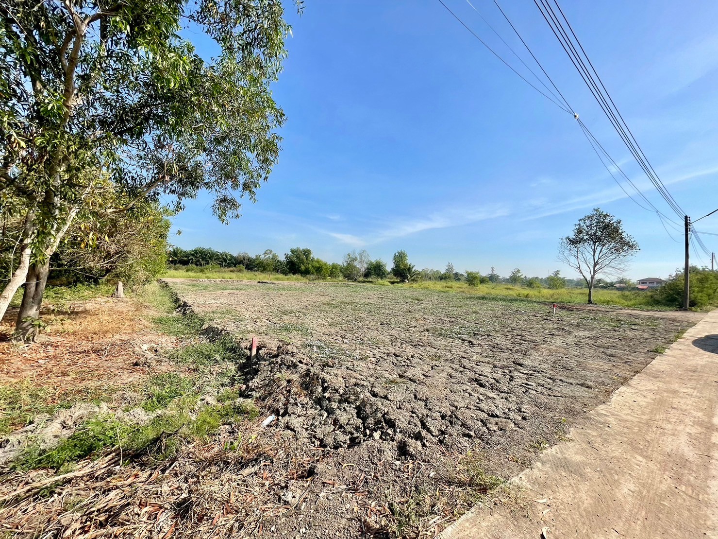ขายที่ดินคลอง10 เหมาะทำบ้านสวน ติดถนนคอนกรีต ใกล้แหล่งชุมชน ปทุมธานี